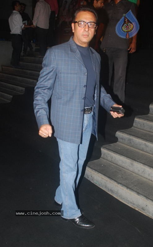 Bolly Celebs at Ragini MMS Movie Premiere - 1 / 56 photos