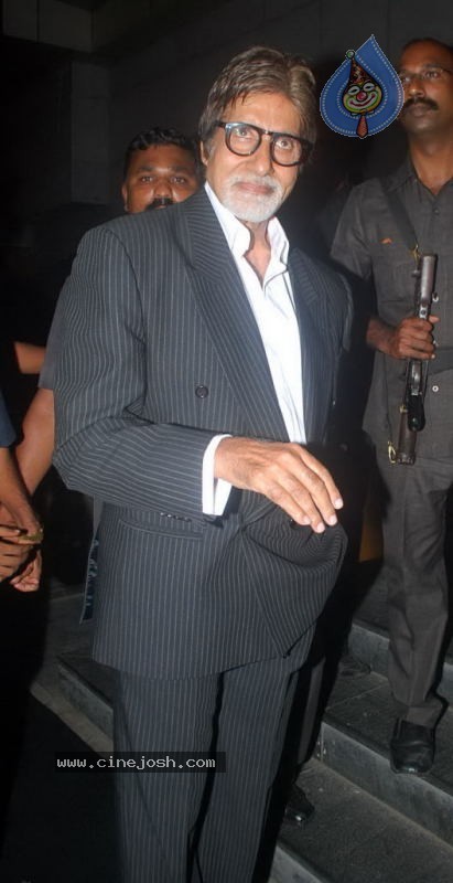 Bolly Celebs at Ragini MMS Movie Premiere - 10 / 56 photos