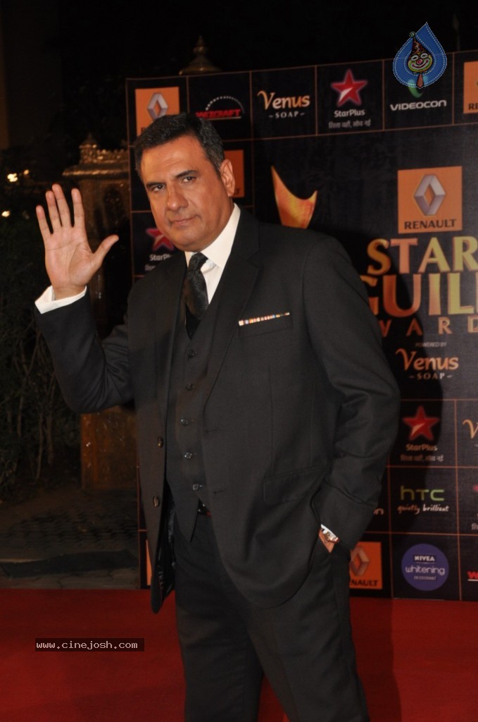 Bolly Celebs at Renault Star Guild Awards 2013 - 14 / 112 photos