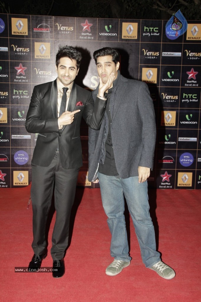 Bolly Celebs at Renault Star Guild Awards 2013 - 16 / 112 photos