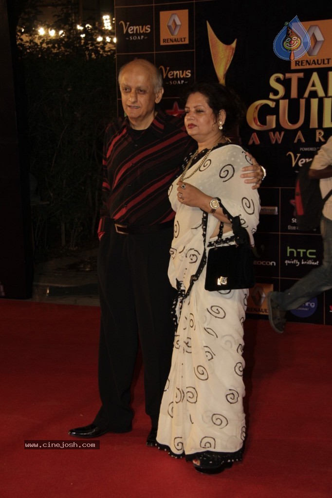 Bolly Celebs at Renault Star Guild Awards 2013 - 26 / 112 photos