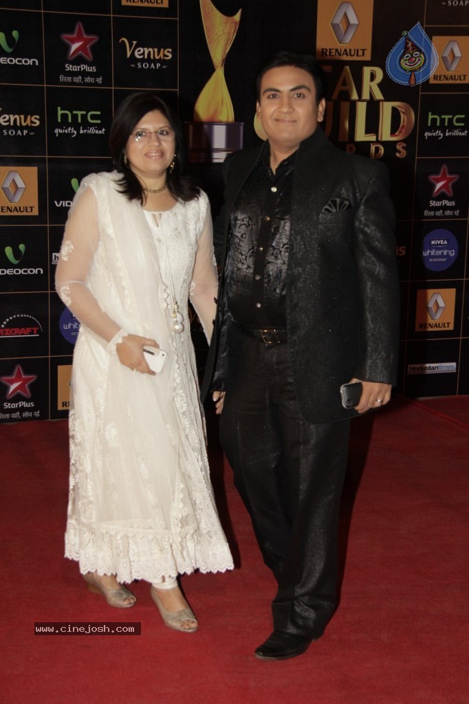 Bolly Celebs at Renault Star Guild Awards 2013 - 28 / 112 photos