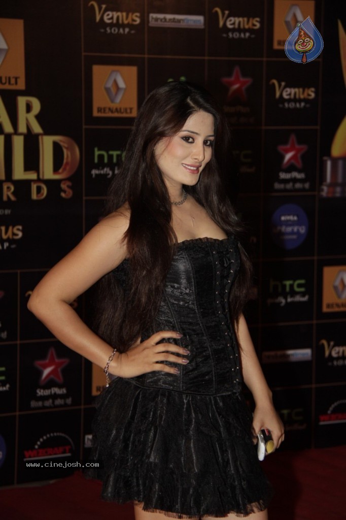 Bolly Celebs at Renault Star Guild Awards 2013 - 32 / 112 photos