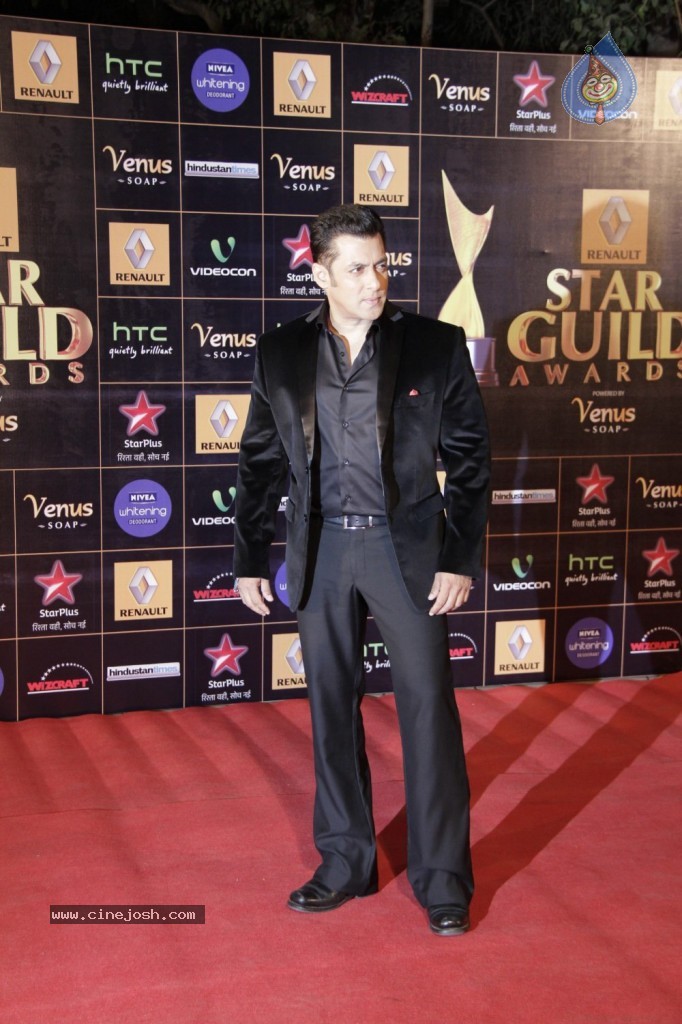 Bolly Celebs at Renault Star Guild Awards 2013 - 33 / 112 photos