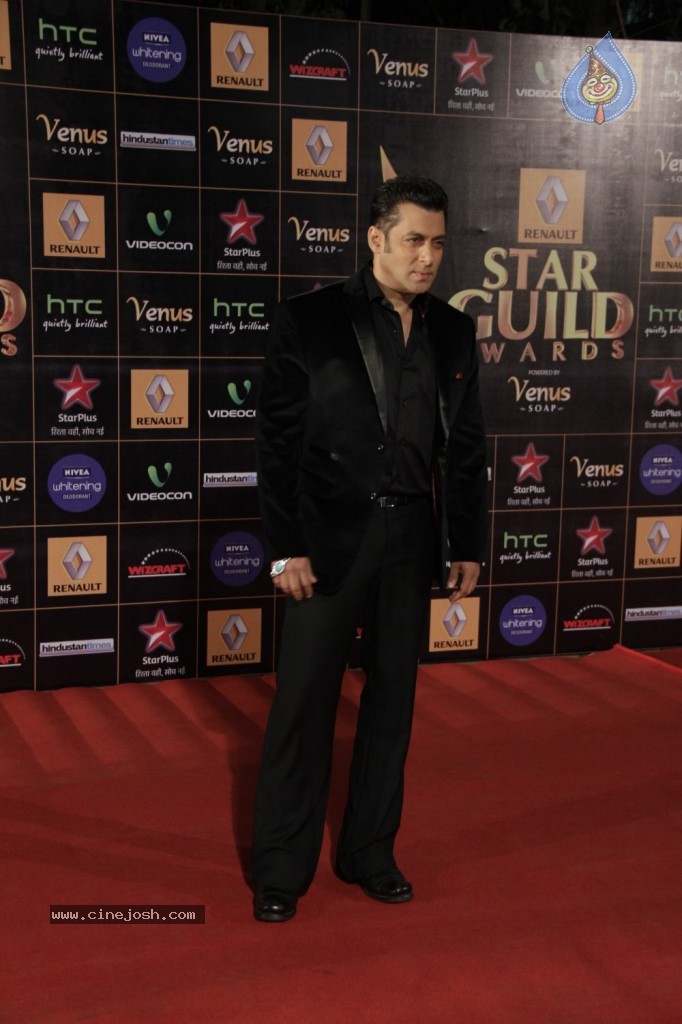Bolly Celebs at Renault Star Guild Awards 2013 - 34 / 112 photos