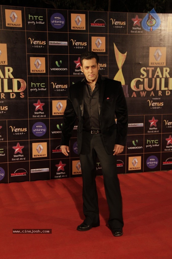 Bolly Celebs at Renault Star Guild Awards 2013 - 35 / 112 photos