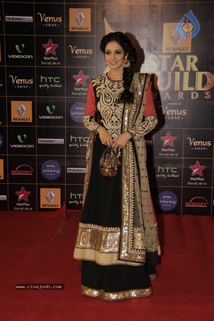 Bolly Celebs at Renault Star Guild Awards 2013 - 41 / 112 photos