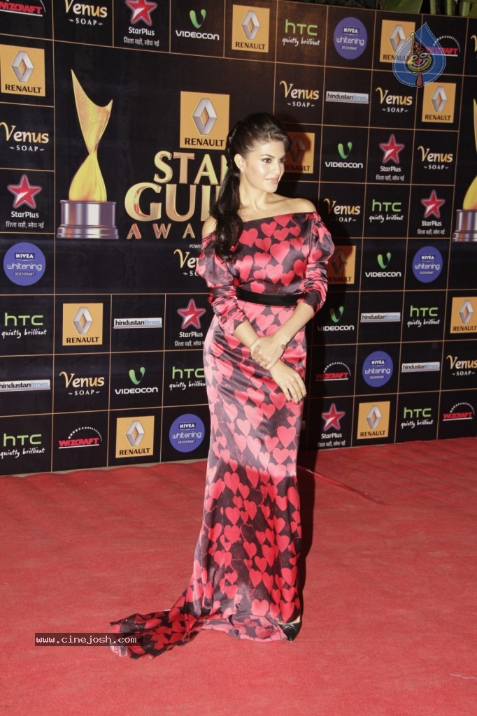 Bolly Celebs at Renault Star Guild Awards 2013 - 48 / 112 photos