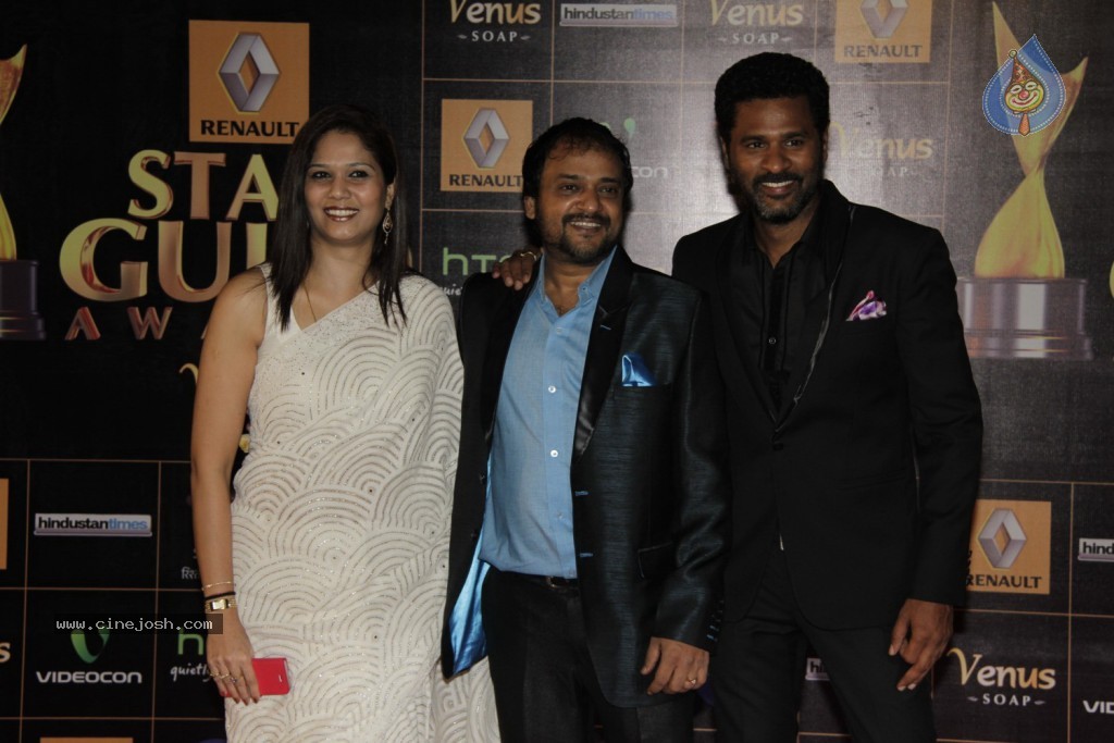 Bolly Celebs at Renault Star Guild Awards 2013 - 49 / 112 photos