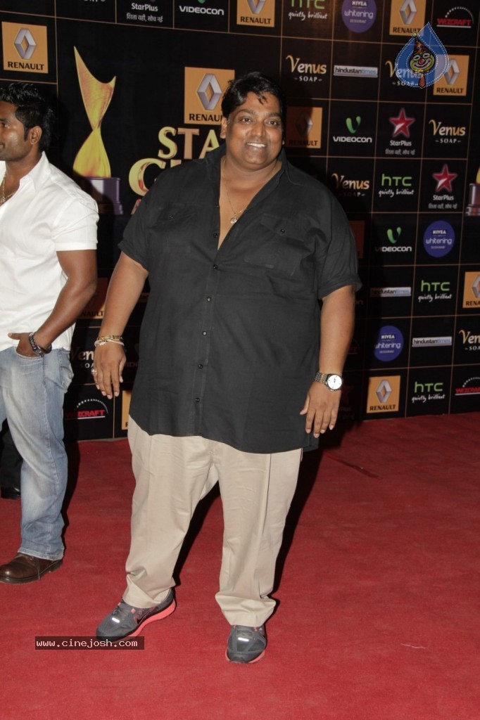 Bolly Celebs at Renault Star Guild Awards 2013 - 50 / 112 photos