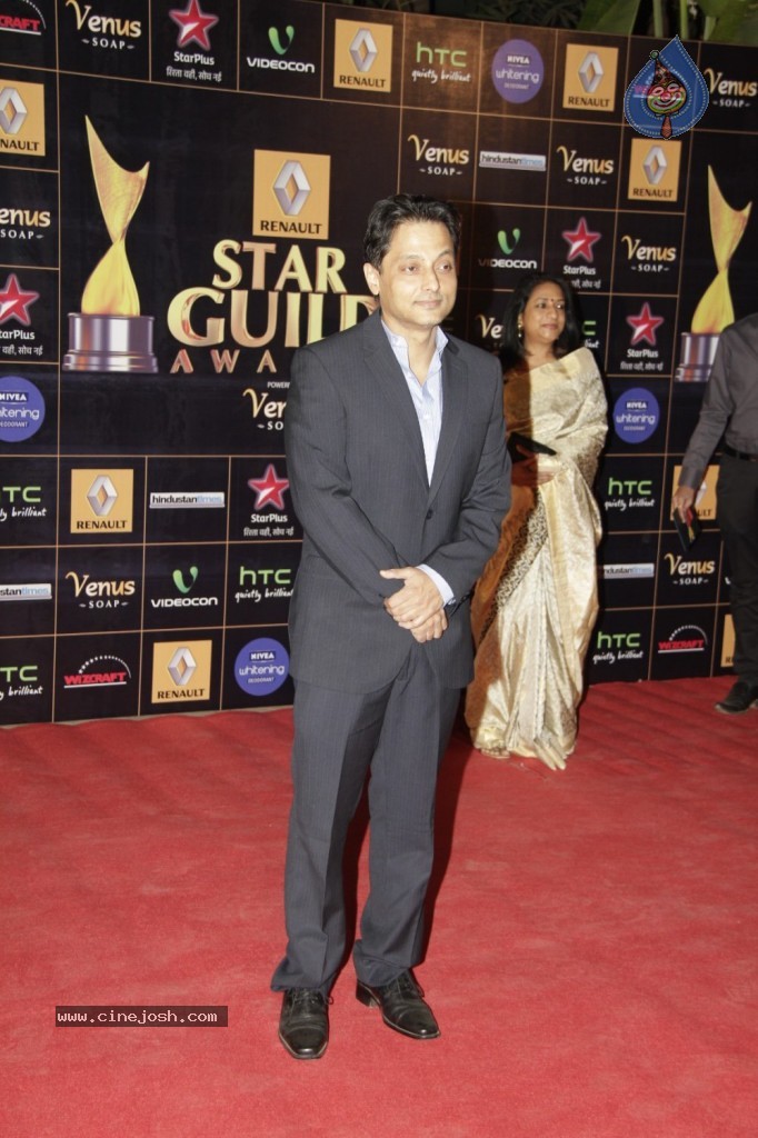 Bolly Celebs at Renault Star Guild Awards 2013 - 68 / 112 photos