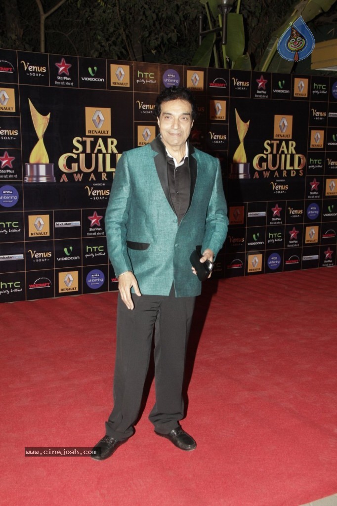 Bolly Celebs at Renault Star Guild Awards 2013 - 71 / 112 photos