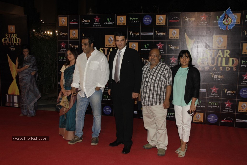 Bolly Celebs at Renault Star Guild Awards 2013 - 74 / 112 photos