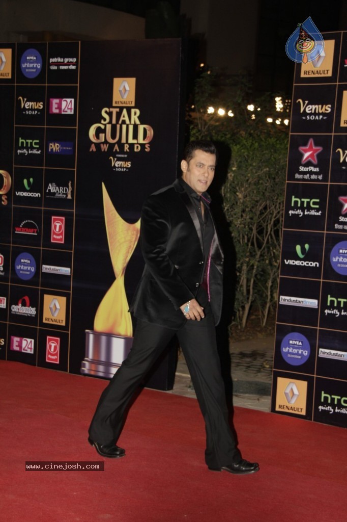 Bolly Celebs at Renault Star Guild Awards 2013 - 76 / 112 photos