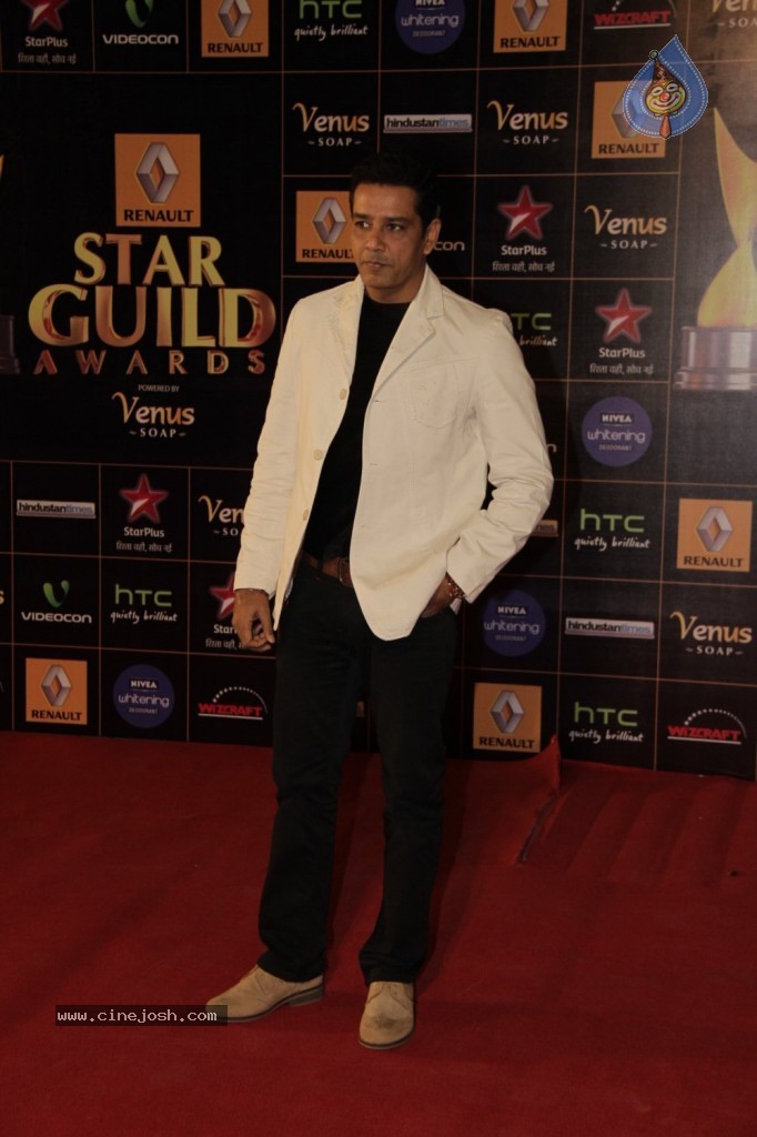 Bolly Celebs at Renault Star Guild Awards 2013 - 79 / 112 photos
