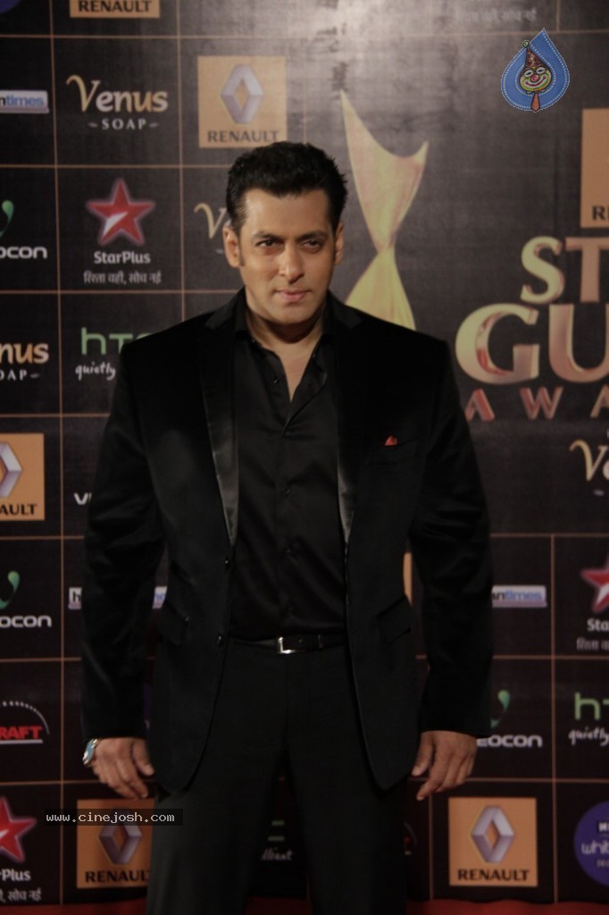 Bolly Celebs at Renault Star Guild Awards 2013 - 83 / 112 photos