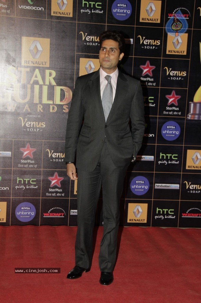 Bolly Celebs at Renault Star Guild Awards 2013 - 85 / 112 photos