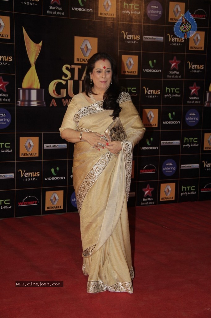 Bolly Celebs at Renault Star Guild Awards 2013 - 88 / 112 photos