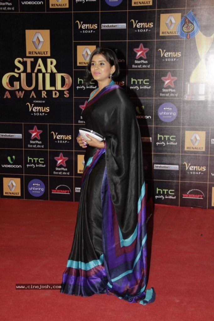 Bolly Celebs at Renault Star Guild Awards 2013 - 91 / 112 photos