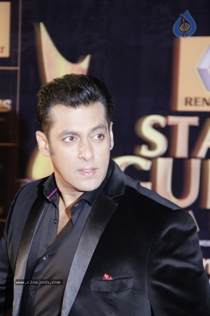 Bolly Celebs at Renault Star Guild Awards 2013 - 96 / 112 photos