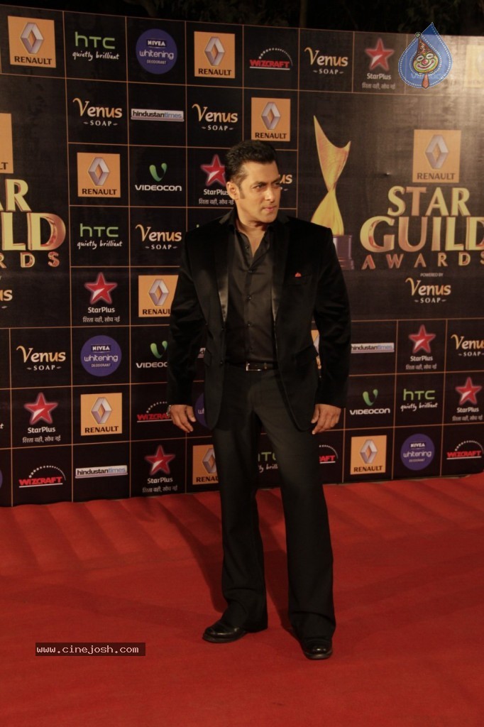 Bolly Celebs at Renault Star Guild Awards 2013 - 97 / 112 photos