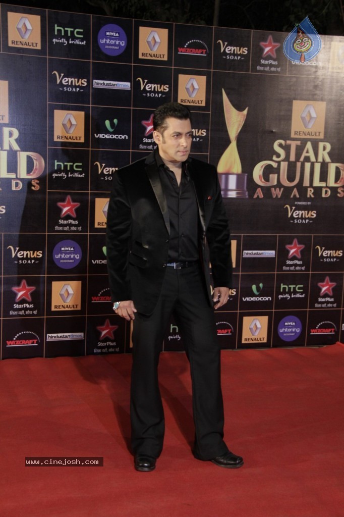 Bolly Celebs at Renault Star Guild Awards 2013 - 111 / 112 photos
