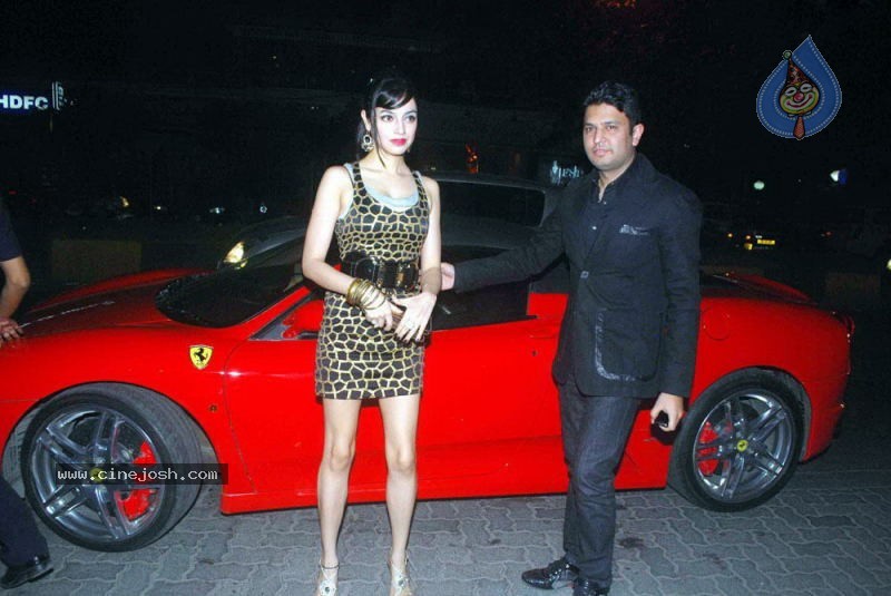 Bolly Celebs at Sohail Khan Bday Bash - 4 / 94 photos