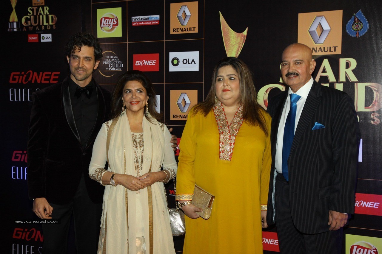 Bolly Celebs at Star Guild Awards 2015 - 53 / 84 photos