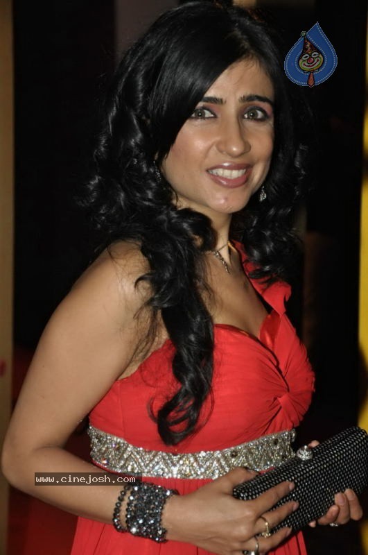 Bolly Celebs at Telly Chakkar New Talent Awards Function - 49 / 54 photos