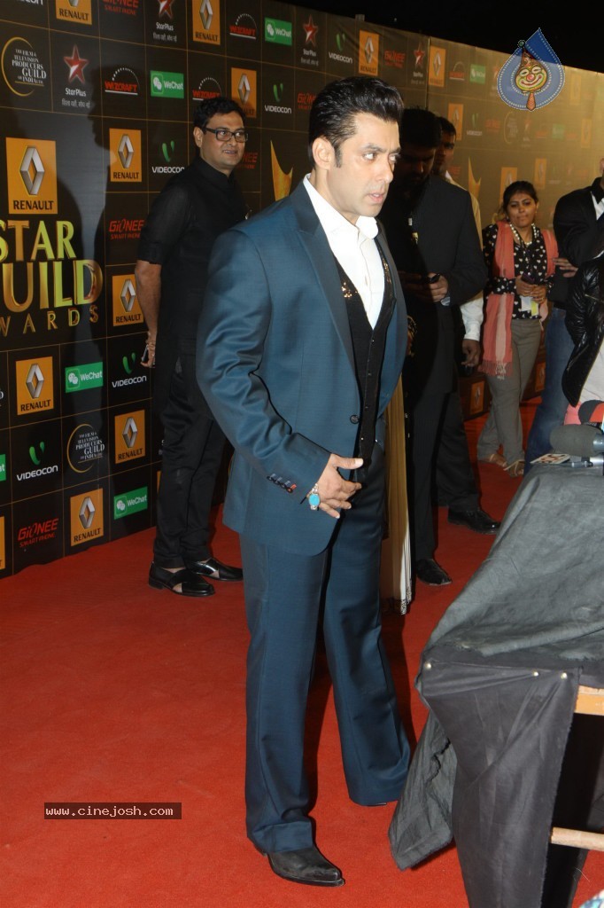 Bolly Celebs at the 9th Renault Star Guild Awards - 24 / 152 photos