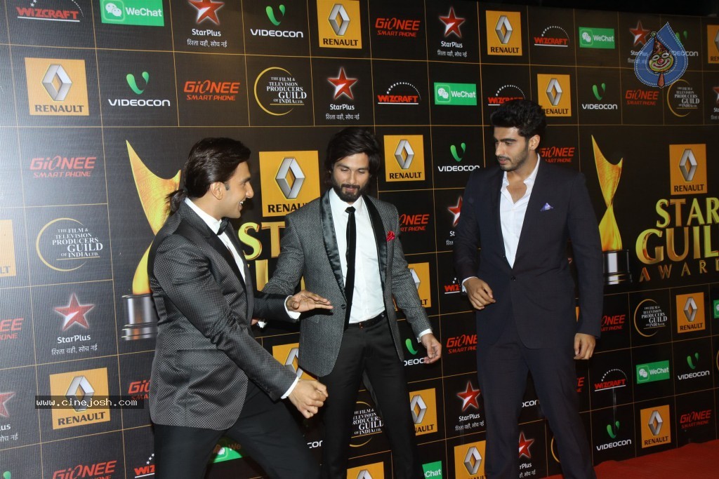 Bolly Celebs at the 9th Renault Star Guild Awards - 28 / 152 photos