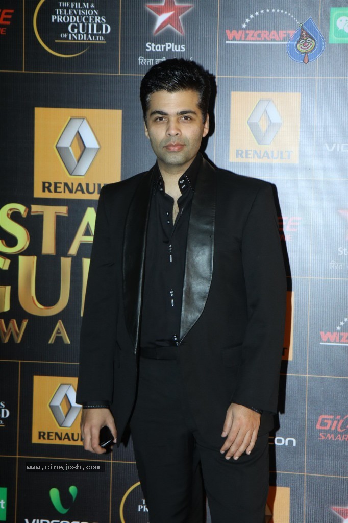 Bolly Celebs at the 9th Renault Star Guild Awards - 51 / 152 photos