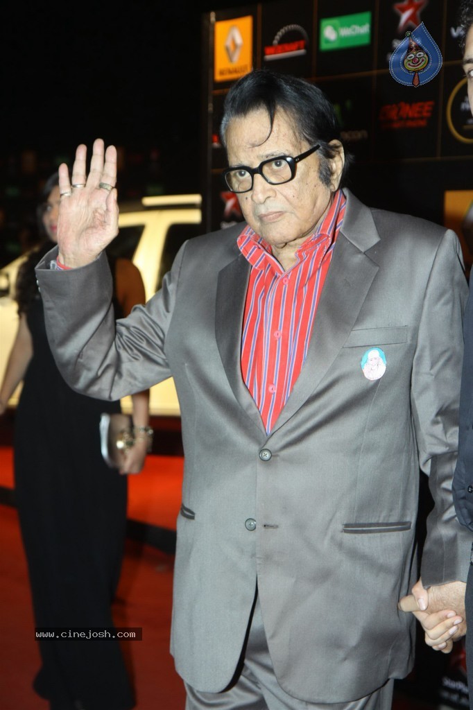 Bolly Celebs at the 9th Renault Star Guild Awards - 114 / 152 photos