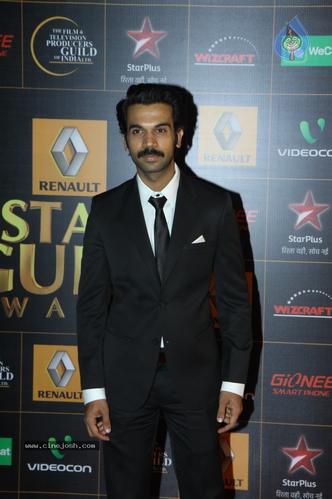 Bolly Celebs at the 9th Renault Star Guild Awards - 151 / 152 photos