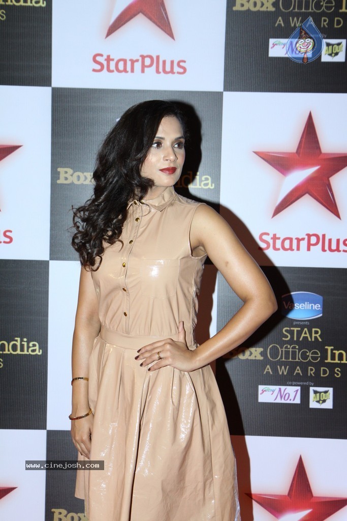 Bolly Celebs at The First Star Box Office India Awards - 84 / 90 photos