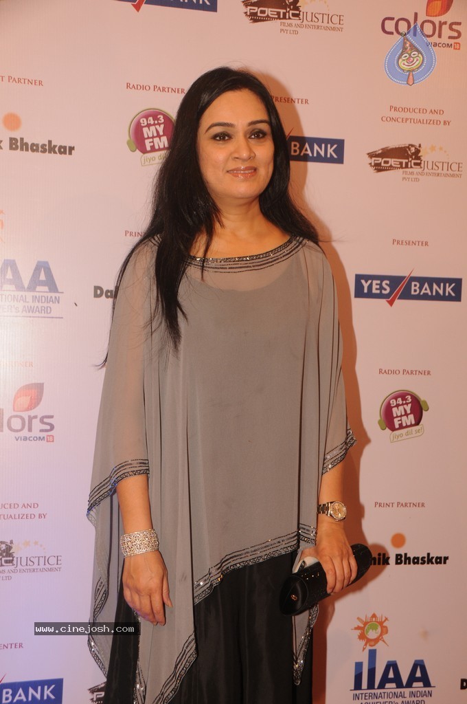 Bolly Celebs at Yes Bank Presents IIAA 2014 - 48 / 135 photos