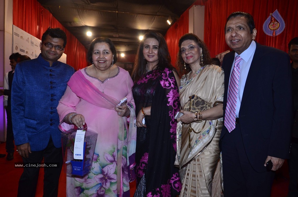 Bolly Celebs at Yes Bank Presents IIAA 2014 - 50 / 135 photos