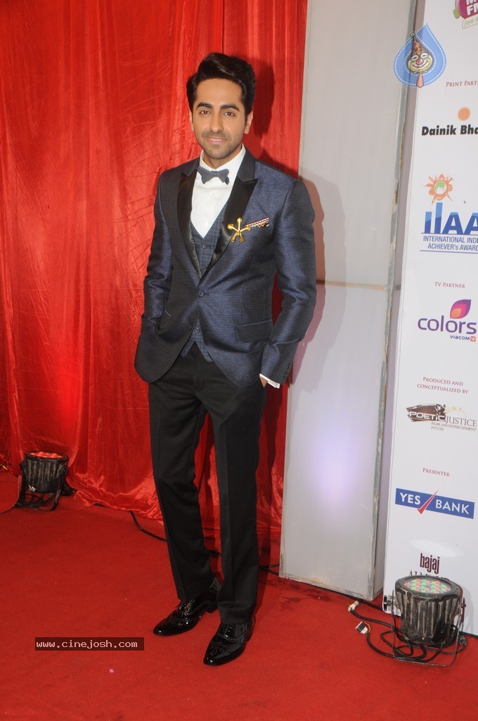 Bolly Celebs at Yes Bank Presents IIAA 2014 - 52 / 135 photos