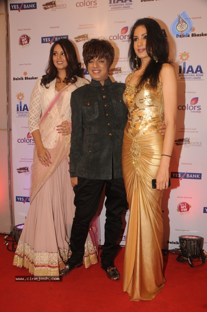 Bolly Celebs at Yes Bank Presents IIAA 2014 - 62 / 135 photos