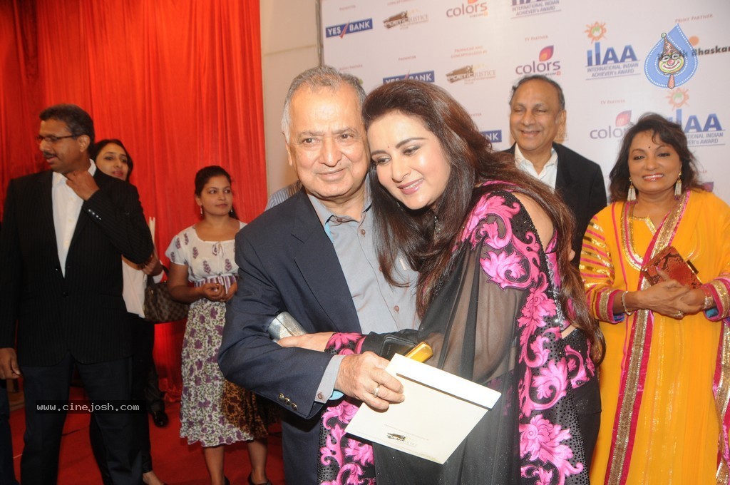 Bolly Celebs at Yes Bank Presents IIAA 2014 - 83 / 135 photos