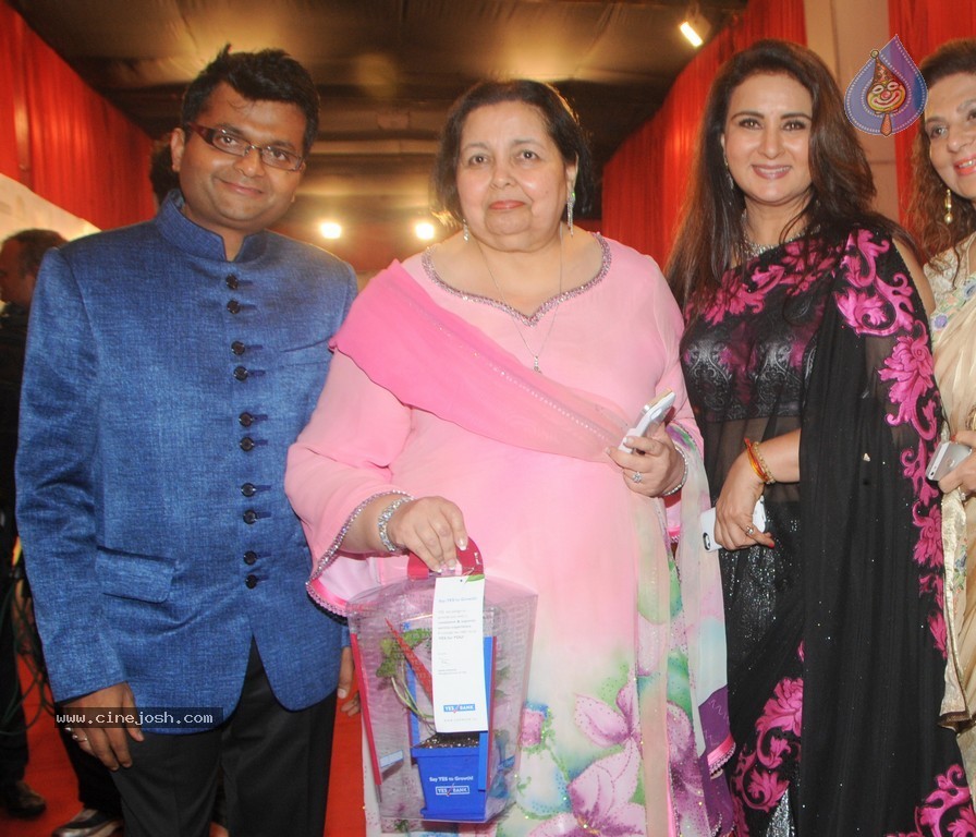 Bolly Celebs at Yes Bank Presents IIAA 2014 - 84 / 135 photos