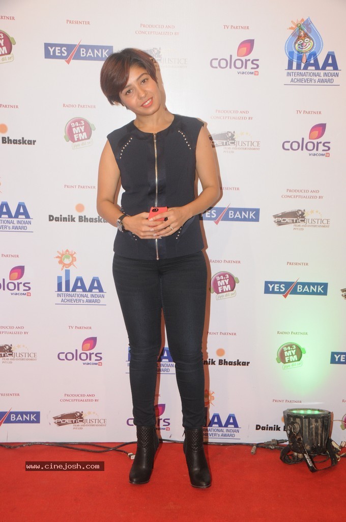 Bolly Celebs at Yes Bank Presents IIAA 2014 - 86 / 135 photos