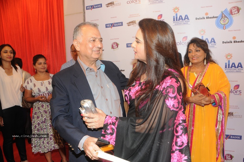 Bolly Celebs at Yes Bank Presents IIAA 2014 - 90 / 135 photos