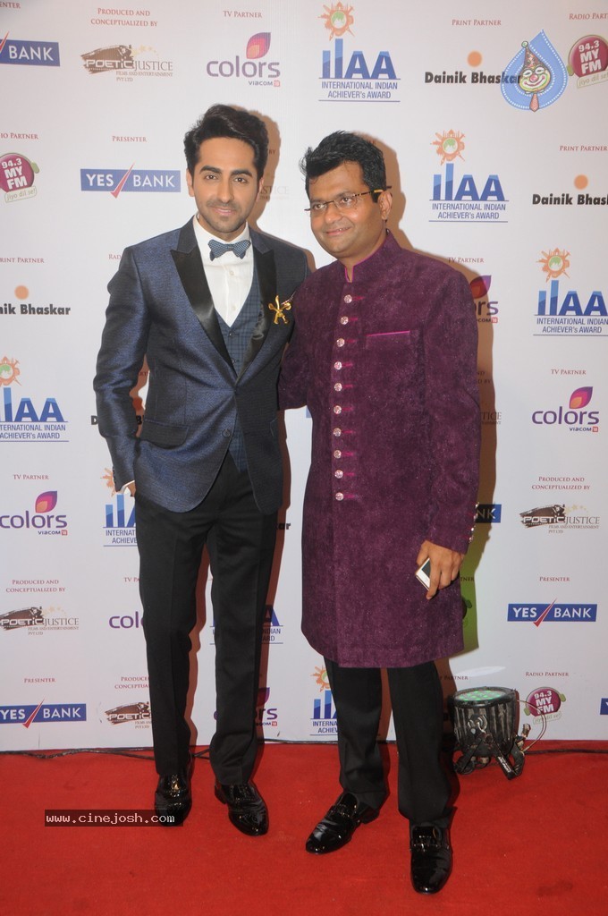 Bolly Celebs at Yes Bank Presents IIAA 2014 - 96 / 135 photos