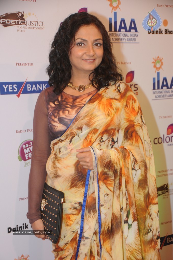 Bolly Celebs at Yes Bank Presents IIAA 2014 - 102 / 135 photos