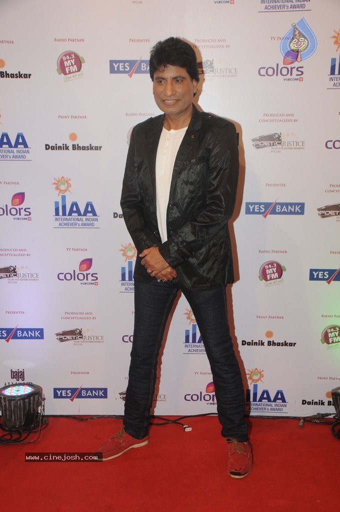 Bolly Celebs at Yes Bank Presents IIAA 2014 - 107 / 135 photos