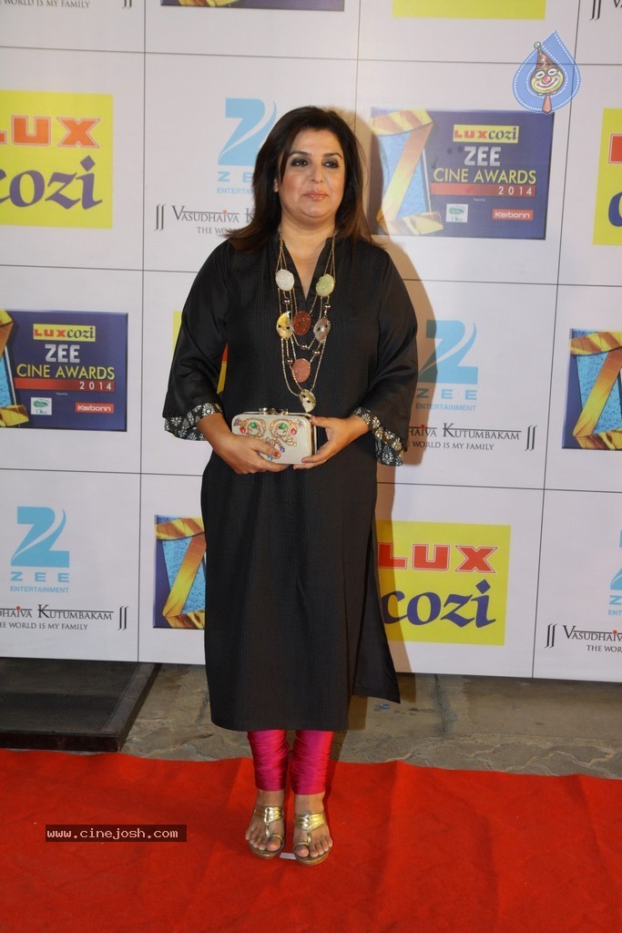 Hot Celebs at Zee Cine Awards 2014 - 1 / 74 photos