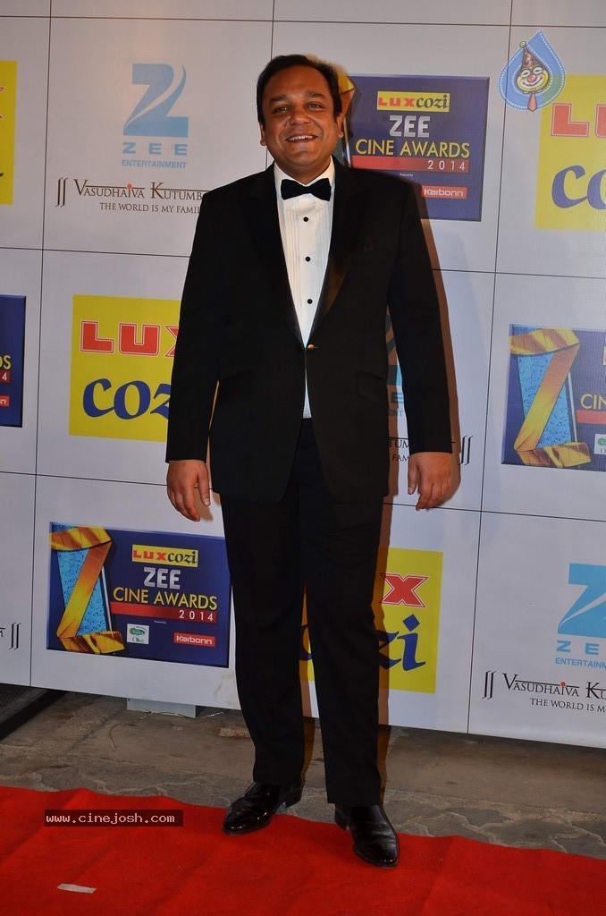 Hot Celebs at Zee Cine Awards 2014 - 18 / 74 photos