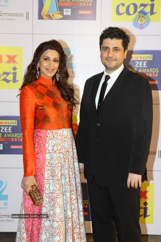 Hot Celebs at Zee Cine Awards 2014 - 23 / 74 photos