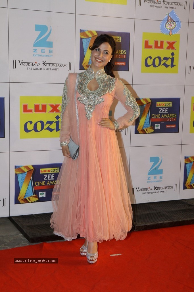 Hot Celebs at Zee Cine Awards 2014 - 25 / 74 photos